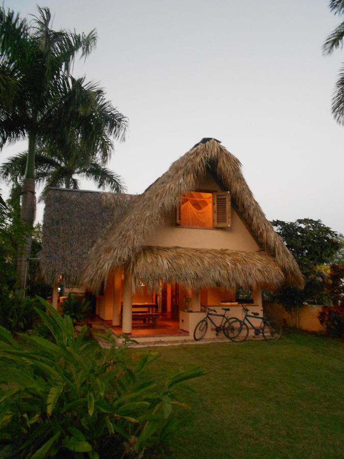 Palm-Covered House In The Tropical -Casa Oli Лас-Галерас Экстерьер фото